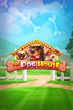 The Dog House